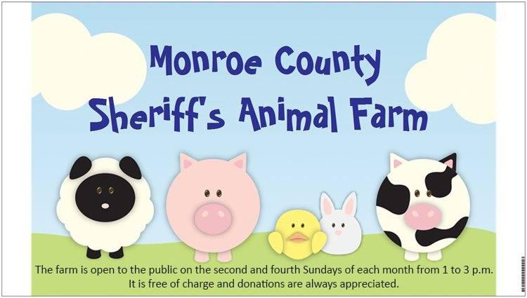 Sheriff’s Animal Farm Open House
